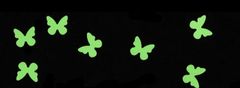 Nehtyprofi Motýlci na zdobení nehtů - neonově zelená