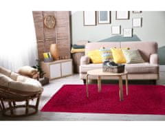 Kusový koberec Spring Red 40x60