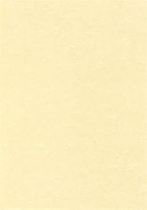 Apli Papír, textura pergamen champange, A4, 95 g, PCL1601