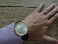 Slava Time Pánské zlaté elegantní hodinky SLAVA s vroubky kolem ciferníku SLAVA 10157