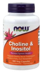 NOW Foods Cholin & Inositol, 500 mg, 100 kapslí