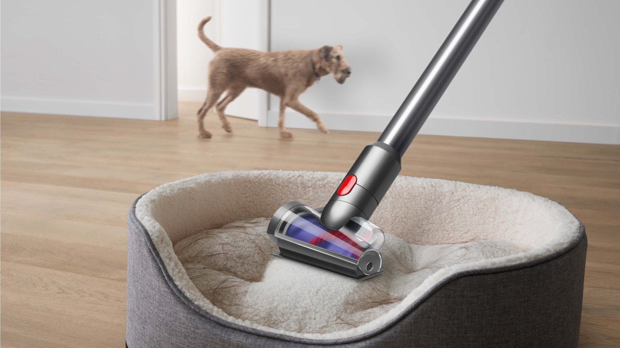  Dyson V8 Absolute 2022 