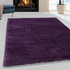 eoshop Kusový koberec Fluffy shaggy 3500 lila (Varianta: 120 x 170 cm)