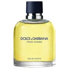 Dolce & Gabbana pour homme toaletní voda ve spreji 125ml