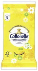 Cottonelle Cottonelle, Kamille&Aloe, zvlhčený papír, 12 ks