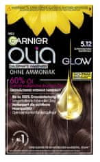 Garnier Garnier, Olia, Barva na vlasy 5.12, 1 kus
