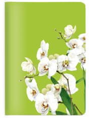 CEDON Notýsek/Zápisník A6 zelený s bílými orchideji CEDON