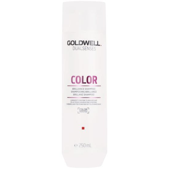 GOLDWELL Dualsenses Color - šampon pro barvené vlasy 250ml