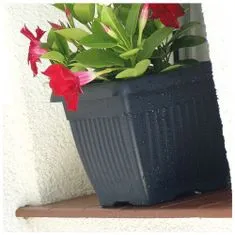 botle Květináč čtvercový Tradiční 30 cm Antracitová 13,8 L kapacita plantážník s podšálkem Plast