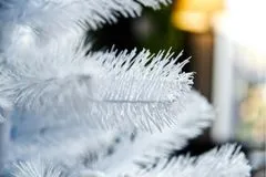 Vánoční stromek JEDLE BÍLÁ, výška 120 cm