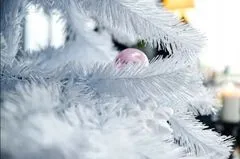 Alpina Vánoční stromek JEDLE BÍLÁ, výška 120 cm