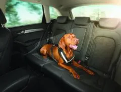 Audi Audi bezpečnostní pás pro psy, vel. S