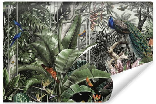 Muralo Fototapeta Ptáci Tropické Listí DŽUNGLE 368x254