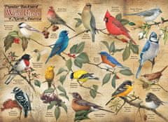 Cobble Hill  Puzzle Ptáci ze severoamerických zahrad 1000 dílků