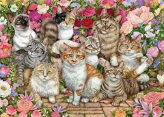 Jumbo FALCON Puzzle Kočky mezi květy 1000 dílků