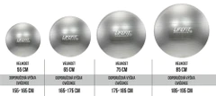 LIFEFIT Gymnastický míč LIFEFIT ANTI-BURST 85 cm, stříbrný