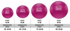 LIFEFIT Gymnastický míč LIFEFIT ANTI-BURST 85 cm, bordó