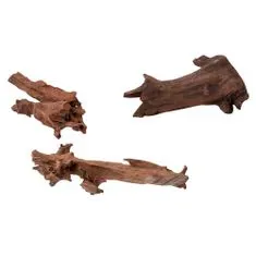 EBI Nature - Wood Jati 15-25cm S 1ks