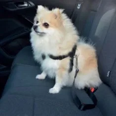 Duvo+ Bezpečnostní postroj pro psy do auta 45 - 70 cm