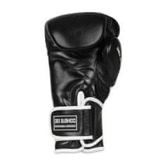 DBX BUSHIDO Boxerské rukavice DBX BB5 10oz