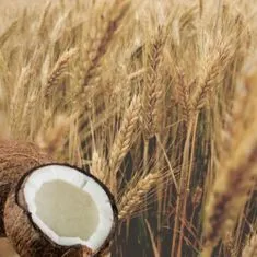 Aroma Kondicionér na poškozené vlasy Pšenice a kokosové mléko Aroma 400 ml