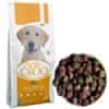 ACTI CROQ MIX 24/11 20kg plnohodnotné barevné krmivo pro dospělé psy všech plemen