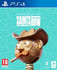 Deep Silver Saints Row - Notorious Edition (PS4)