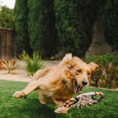 P.L.A.Y. hračka pro psy Lanový létající talíř Mocha