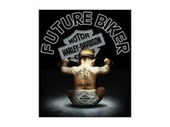 Cedule-Cedulky Plechová cedule Future Biker