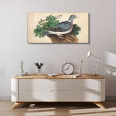 COLORAY.CZ Obraz na plátně Ptáci divoká zvířata 100x50 cm
