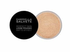 Gabriella Salvete 6.5g perfect skin loose powder, 01, pudr
