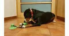 Merco Doggie hračka pro psy zelená