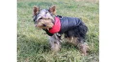 Merco Vest Doggie kabátek pro psy červená, 4XL
