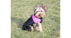 Merco Vest Doggie kabátek pro psy růžová, XL