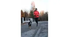 Merco Runner Buddy 1.0 vodítko na běhání se psem černá, 1 ks