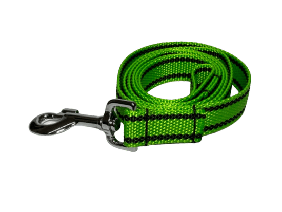 Palkar Vodítko přepínací z popruhu pro psy 250 cm x 25 mm světle-zelená s páskami