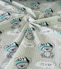 ShopTex Dětská plenka Teddy boy na šedé