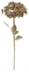 Shishi Hortenzie zlatá, 60 cm