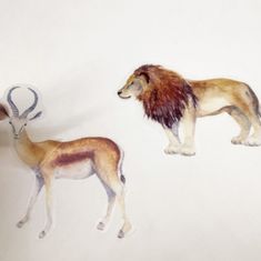 Funlife Nálepky do dětského pokoje zvířata safari 10 x 12 cm