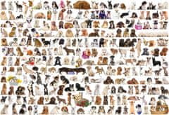 EuroGraphics  Puzzle Svět psů 2000 dílků