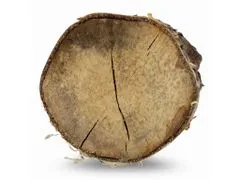 IGLACO Suché březové dřevo 1m3