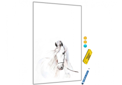 Glasdekor Metalová magnetická tabule - kůň - Rozměr metalová tabule: 600 x 900 mm