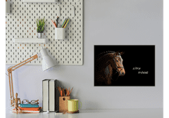 Glasdekor Metalová magnetická tabule - hnědý kůň na černém - Rozměr metalová tabule: 600 x 900 mm