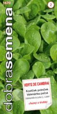 Dobrá semena Kozlíček polníček - Verte de Cambrai 2g