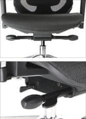 STEMA Ergonomická otočná kancelářská židle DITTER, pro domácnost i kancelář, široká škála nastavení, nastavitelné područky a hlavová opěrka, moderní vzhled, hliníková základna, černá 