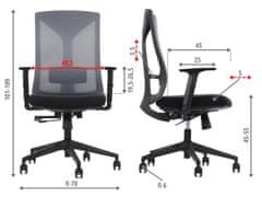 STEMA Ergonomická kancelářská židle HAGER, pro domácnost i kancelář, široké možnosti nastavení, nastavitelné područky, moderní vzhled, vstřikovací pěna, synchronní mechanismus, šedá