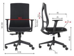 STEMA Ergonomická kancelářská židle TONO, pro domácnost i kancelář, široké možnosti nastavení, nastavitelné područky, moderní vzhled, vstřikovací pěna, synchronní mechanismus, černá