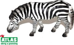 Atlas  C - Figurka Zebra 11 cm