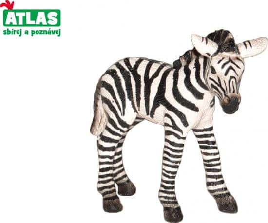 Atlas  B - Figurka Zebra hříbě 7 cm
