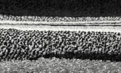 Kusový koberec Portland 1598 PH2 V 67x120